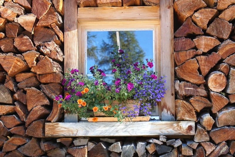 Παράθυρο με λουλούδια ανάμεσα σε ξύλα.