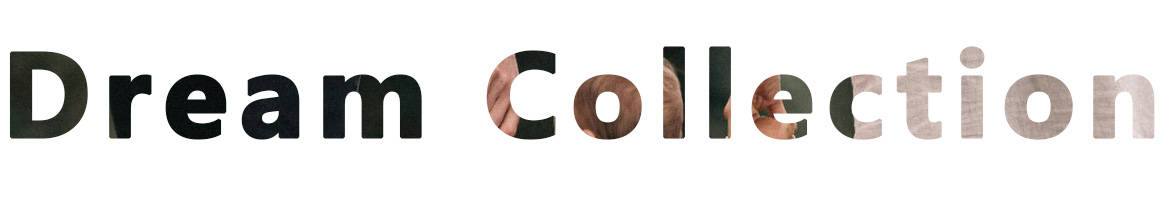 Banner κατηγορίας οικογένεια Dream Collection